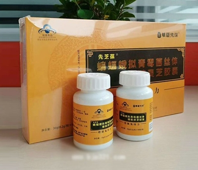 蝙蝠蛾拟青霉菌丝体蜂胶灵芝胶囊 融合传统与现代的日用保健新选择